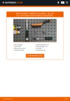 PDF manuel sur la maintenance de LUPO