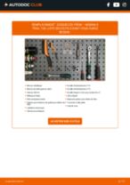 Changer Ampoule Feu Eclaireur De Plaque RENAULT à domicile - manuel pdf en ligne