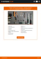 PDF návod na výmenu: Brzdový kotouč NISSAN Qashqai II (J11, J11_) zadné a predné