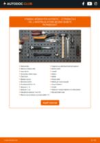 PDF návod na výmenu: Brzdový kotouč CITROËN C3 II (SC_) zadné a predné