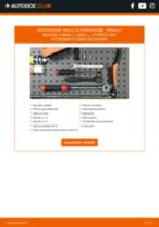 MAPCO 70174 per MEGANE II (BM0/1_, CM0/1_) | PDF istruzioni di sostituzione