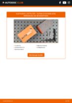 ALPINA D10 Estate (E39) Luftfilter: Schrittweises Handbuch im PDF-Format zum Wechsel
