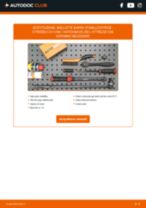 Citroen C3 1 serie Ganasce Freno sostituzione: tutorial PDF passo-passo