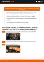 Tutorial paso a paso en PDF sobre el cambio de Escobillas de Limpiaparabrisas en VW GOLF I Cabriolet (155)