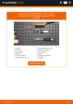 VAICO V40-2064 für COMBO Kasten/Kombi | PDF Handbuch zum Wechsel