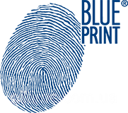 Experiencias con el producto Filtro de Aire BLUE PRINT: ventajas y desventajas