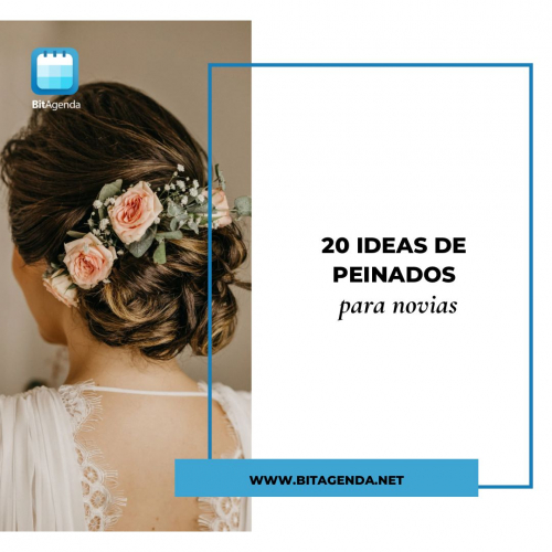 20 Ideas de Peinados para Novias