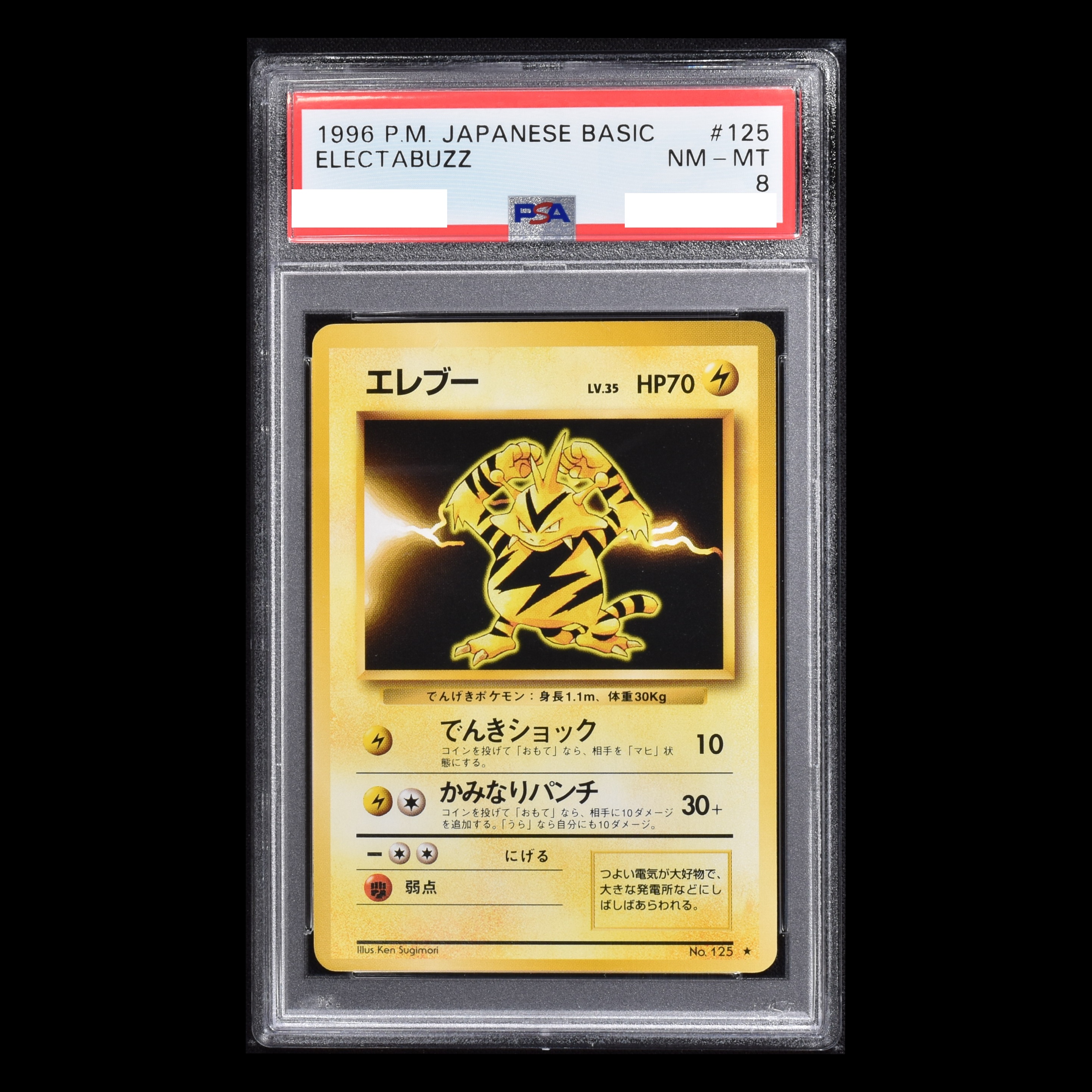 エレブー　PSA10 マスターボールミラー