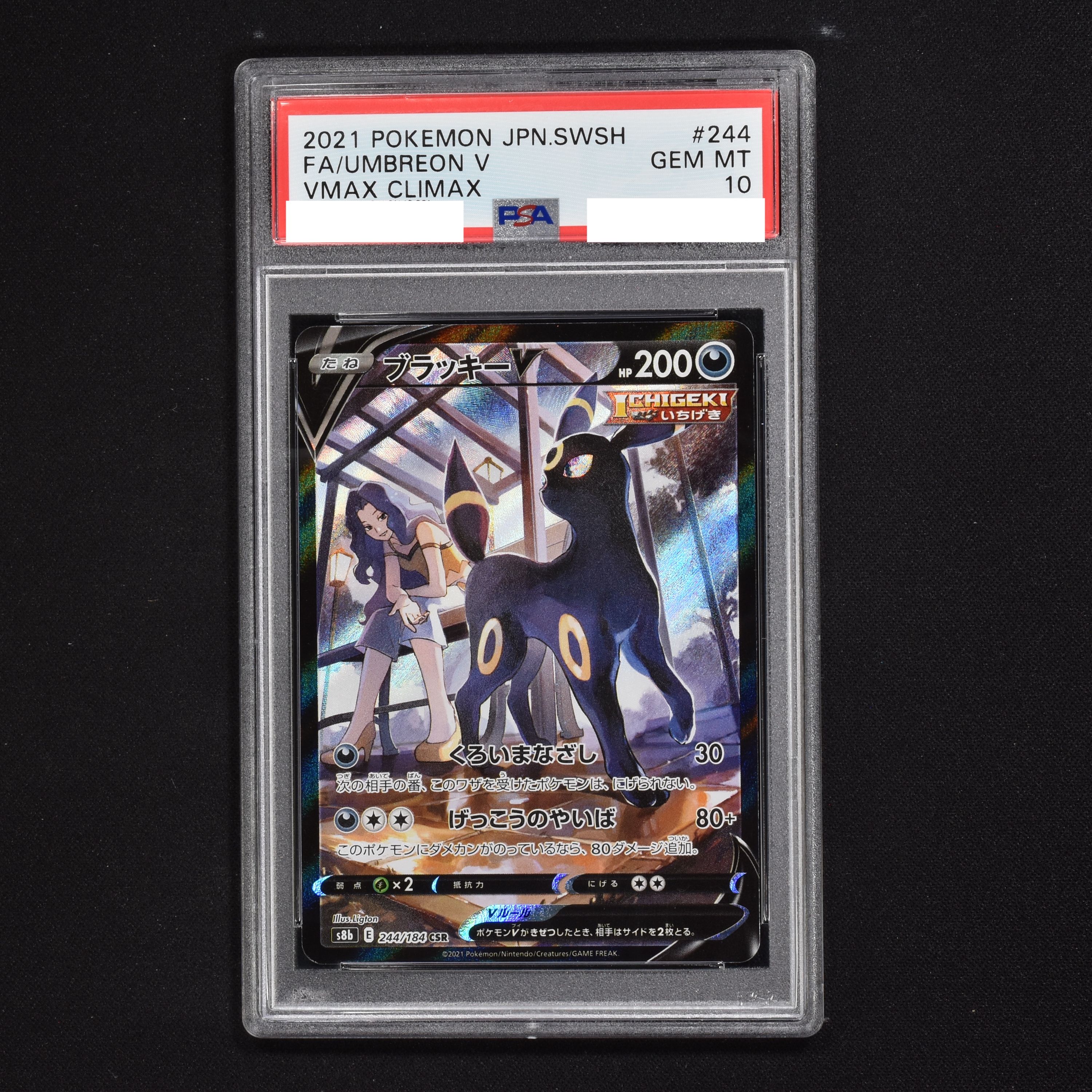 新着商品 ポケモンカード PSA10 ブラッキーV CSR S8b asakusa