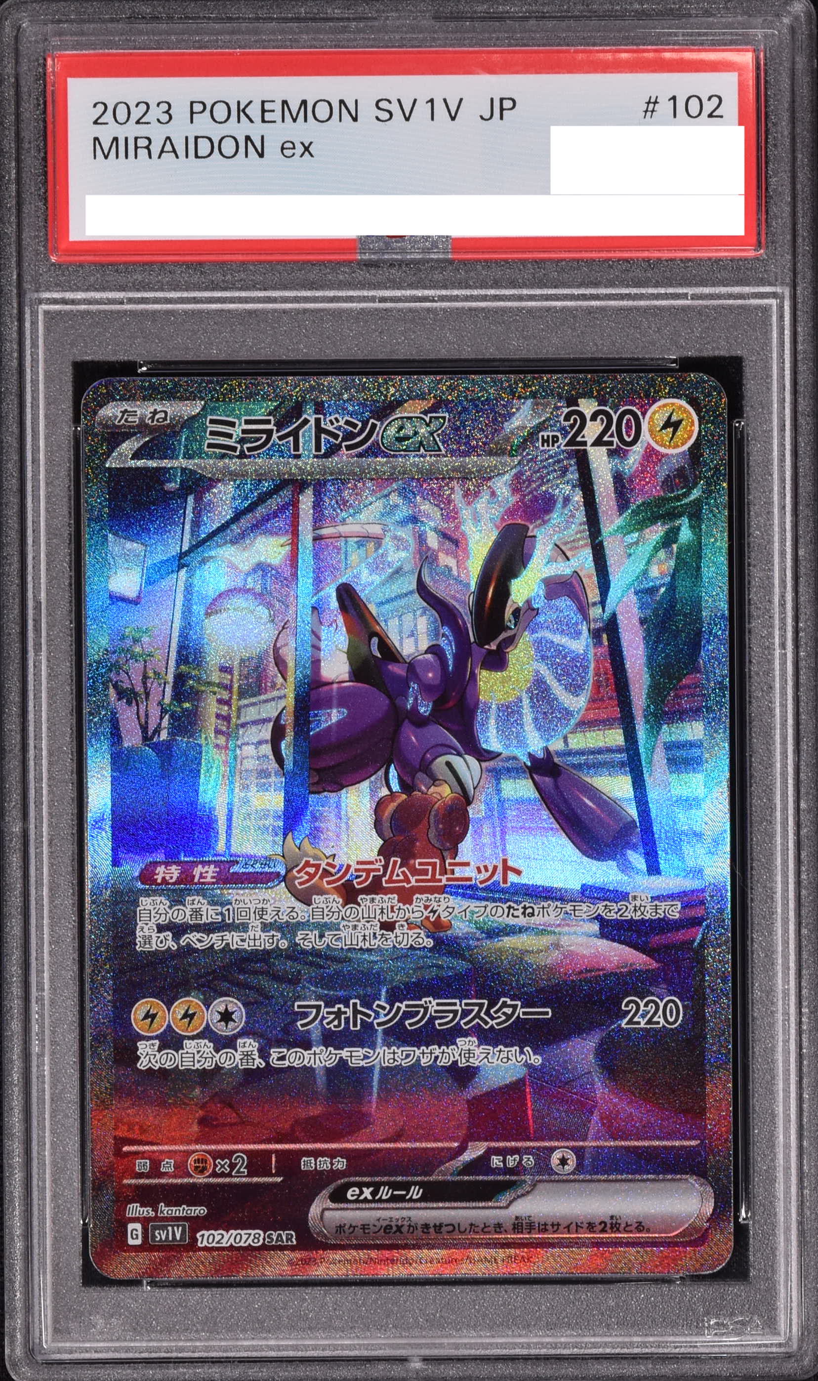 Pokémon Mystery Pack 新規 ラッキーチャンス | Clove Mystery Pack