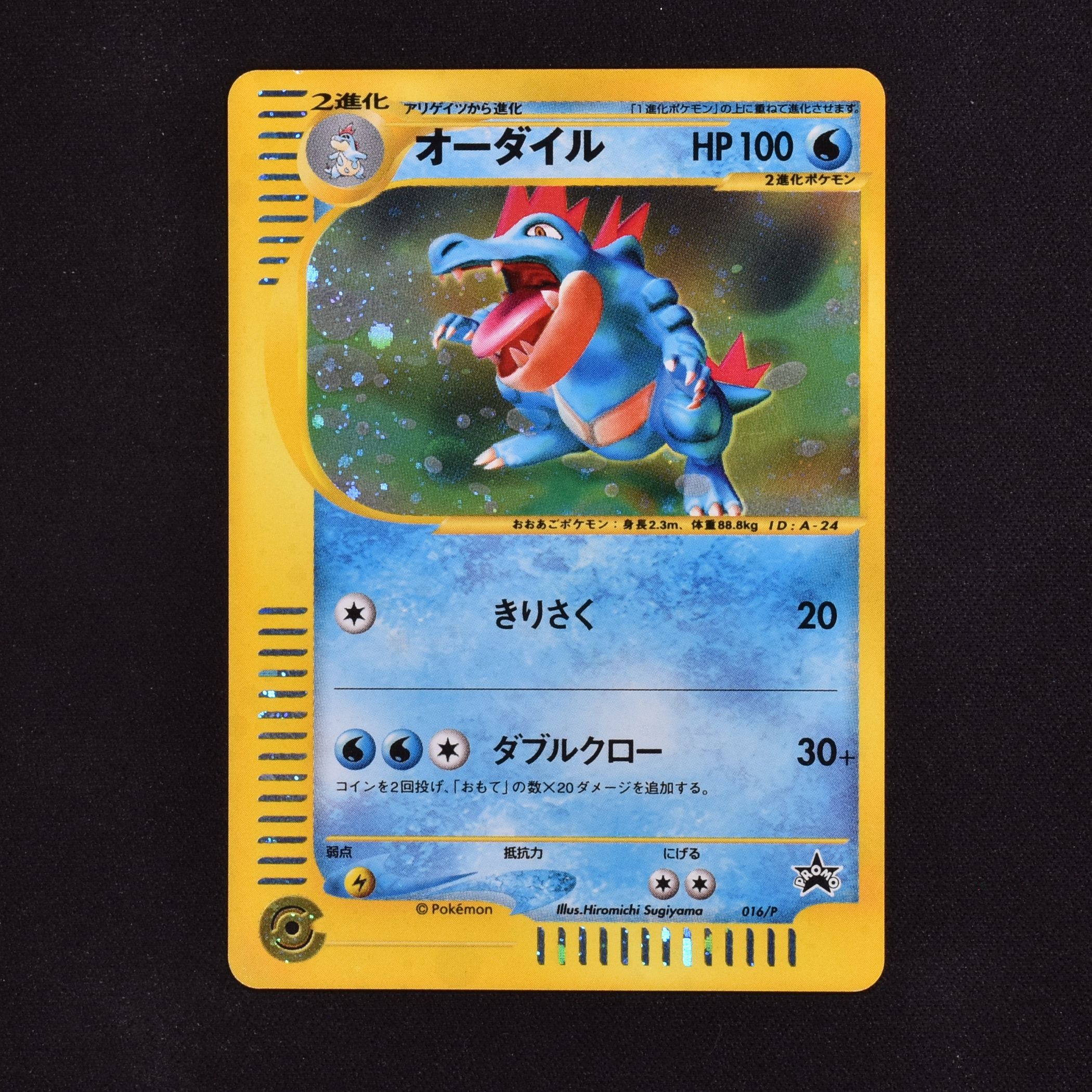 ポケモンカード オーダイルe レア - ポケモンカードゲーム