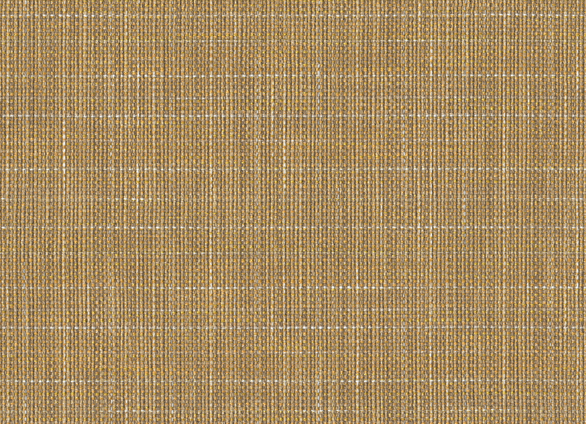 2085cb63-3b67-4bc8-9f79-