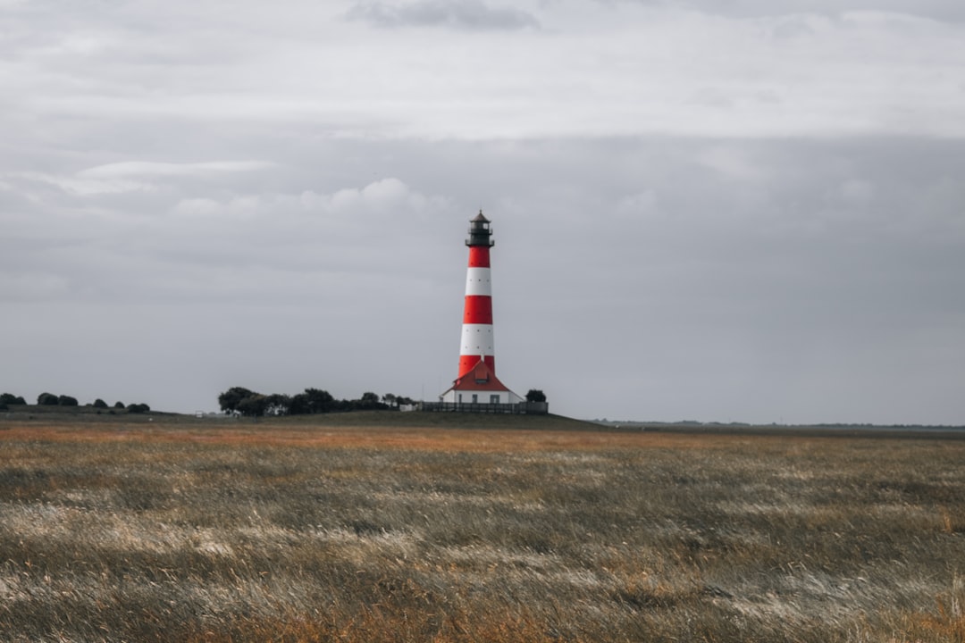 speed test,  lighthouse report