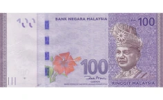 RM100 Banknote
