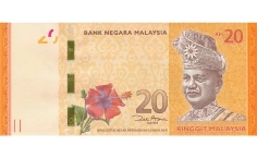 RM20 Banknote