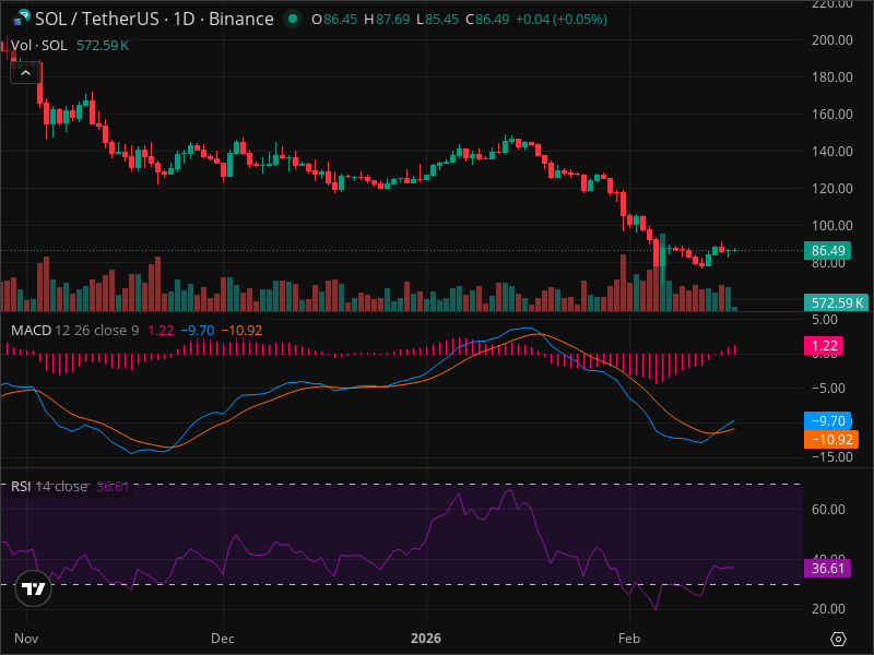 SOL's Pullback Creates Rare Entry Point - Technical Analysis