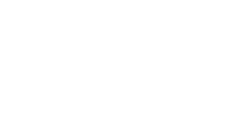 Conscious Life