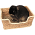 category-small-pet-beds.png