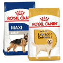 royal-canin-dog.png