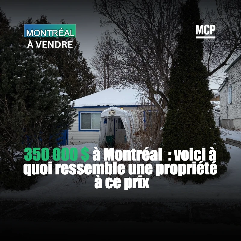 ADDEDEEDE7B5B41D1D46B34D10_edited_1766109387866