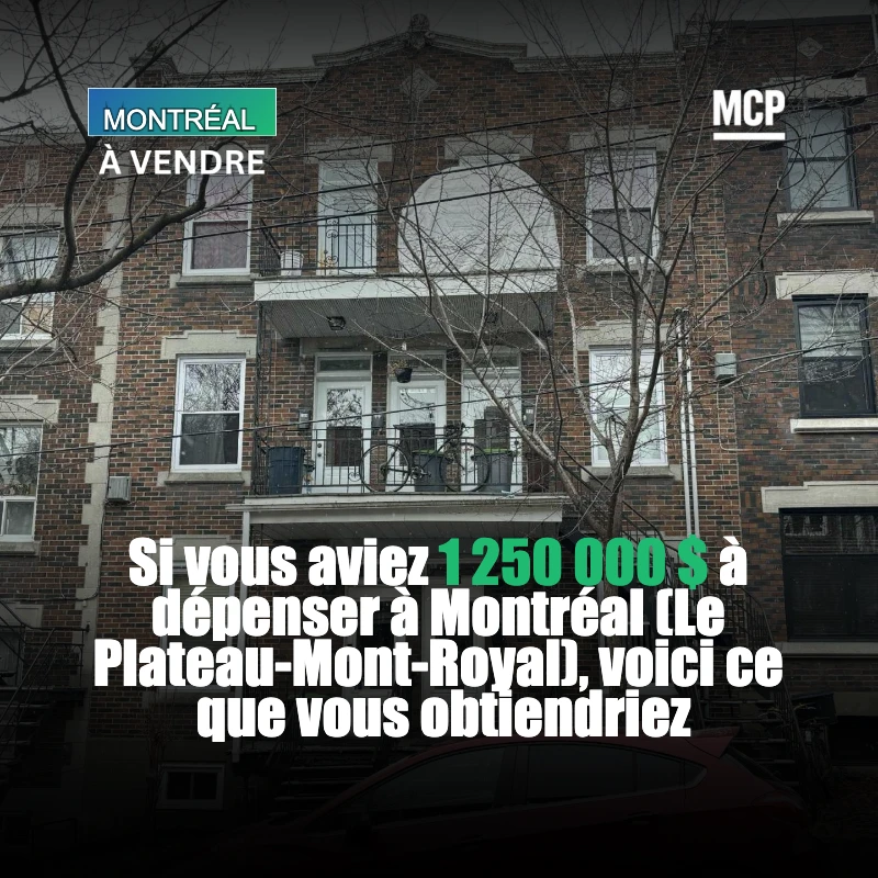 Découvrez un sixplex lumineux et élégant au cœur du Plateau-Mont-Royal