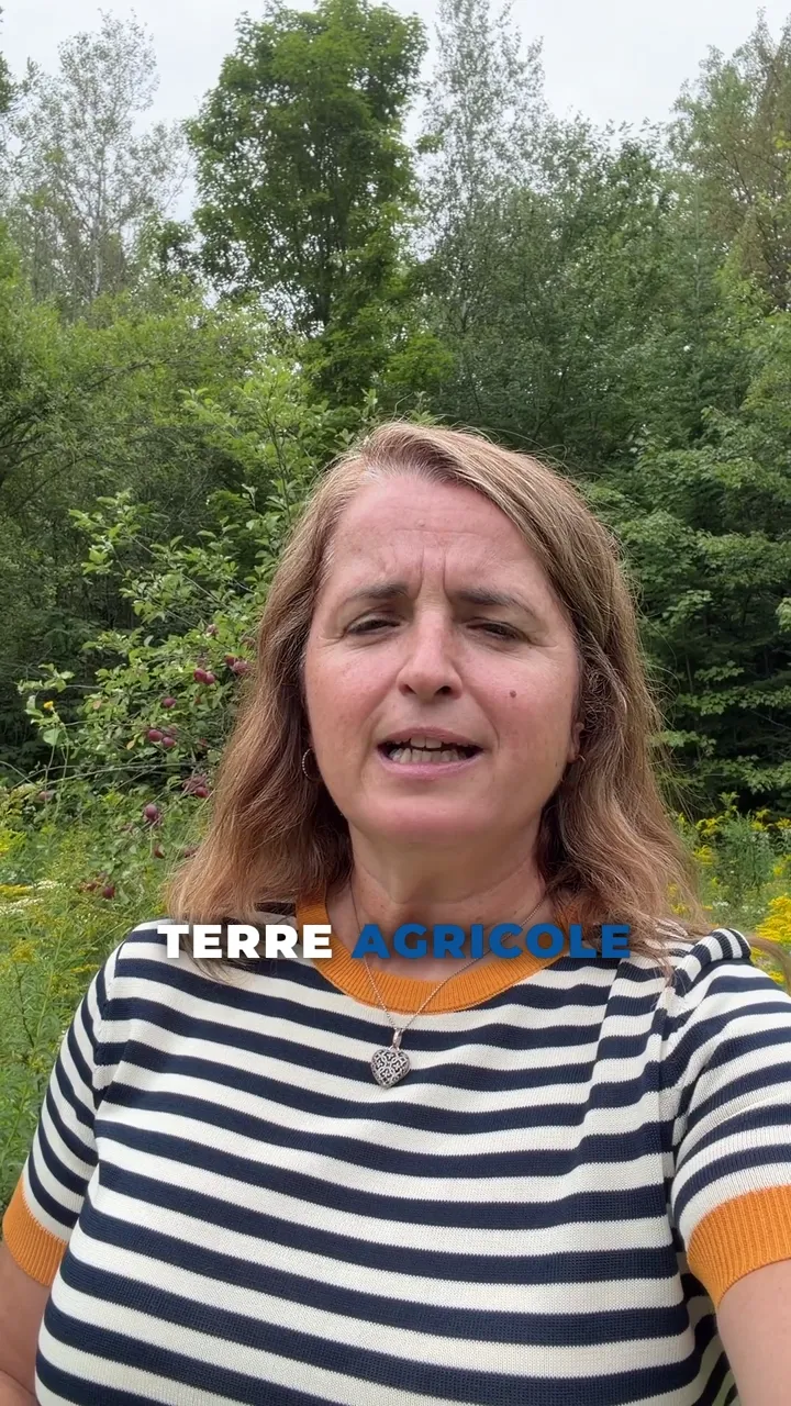 Vendre une terre agricole en Estrie : Guide complet