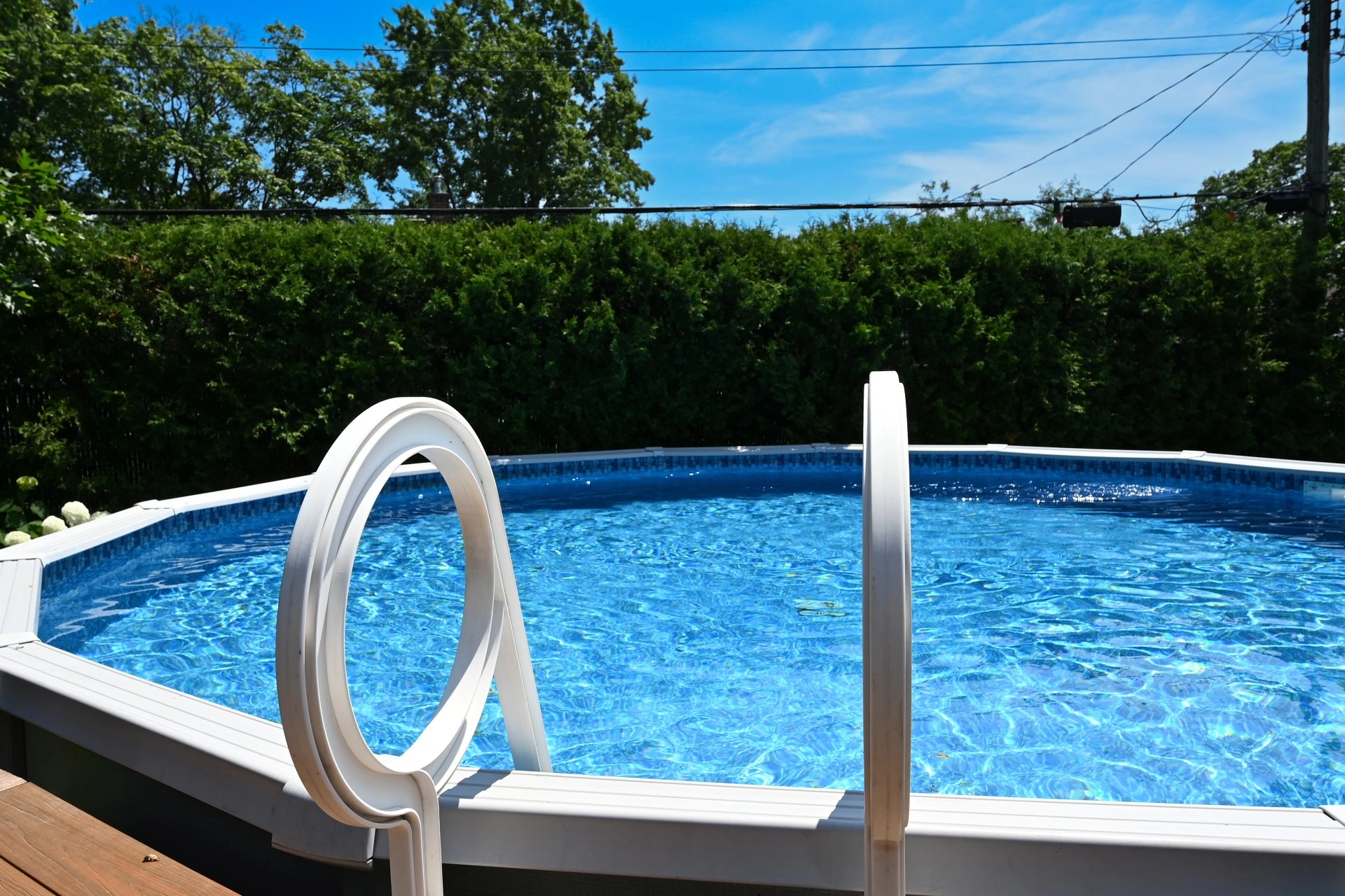 Above-ground pool surrounded by greenery on a sunny day.