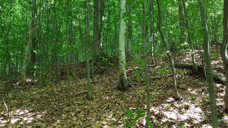 Photo de la propriété 4