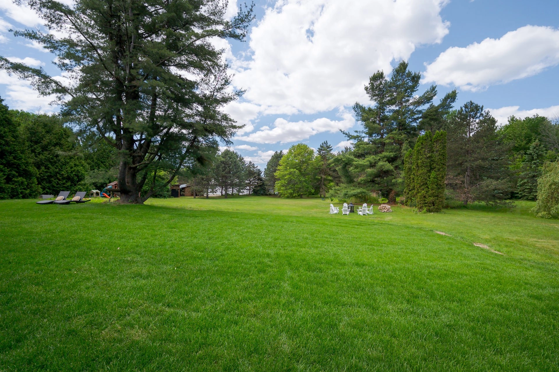 Expansive Backyard