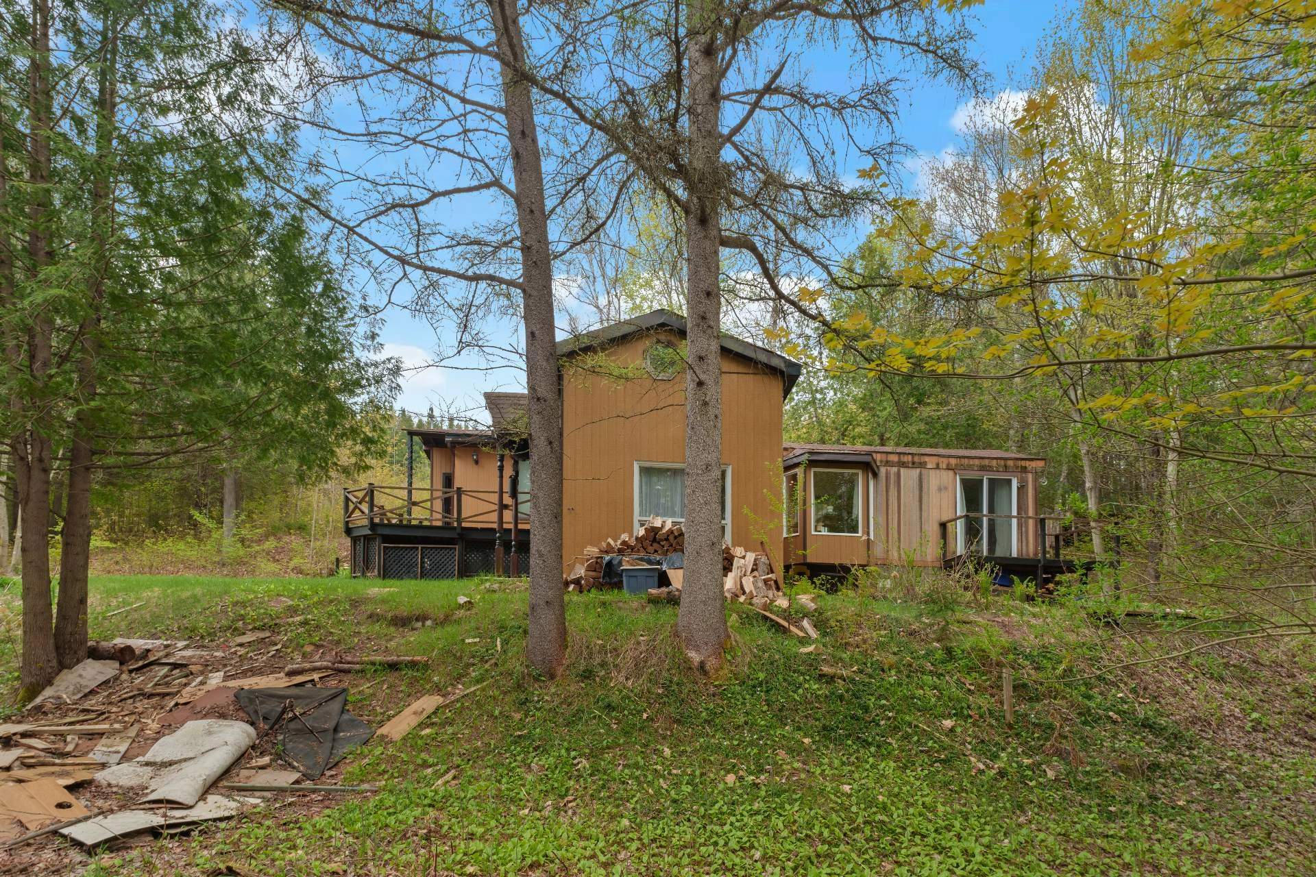 Maison en bois au cœur de la forêt