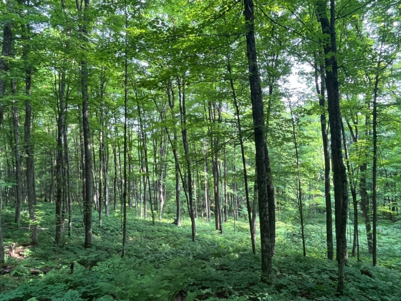 Photo de la propriété 6