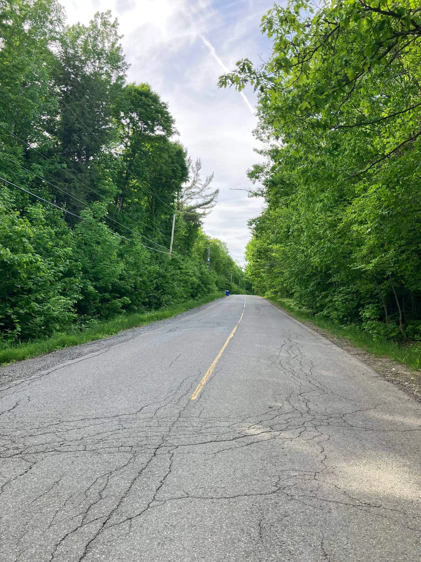 Route de campagne entourée de verdure à Rawdon