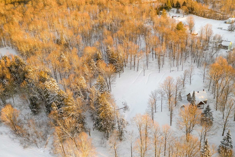Photo de la propriété 4