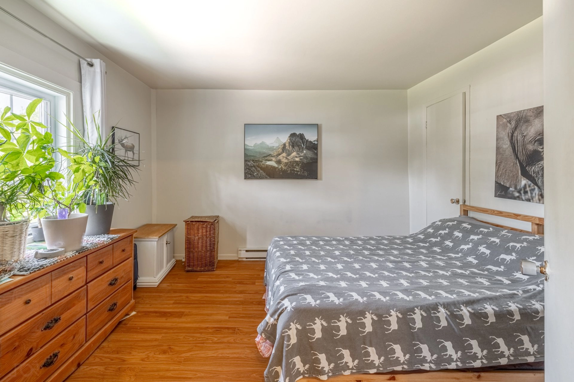 Grande chambre avec sol en bois et touches de verdure