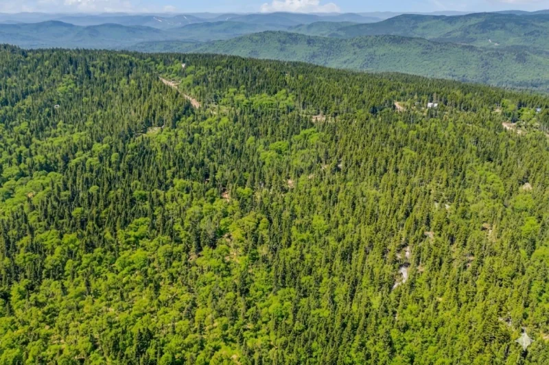 Photo de la propriété 4