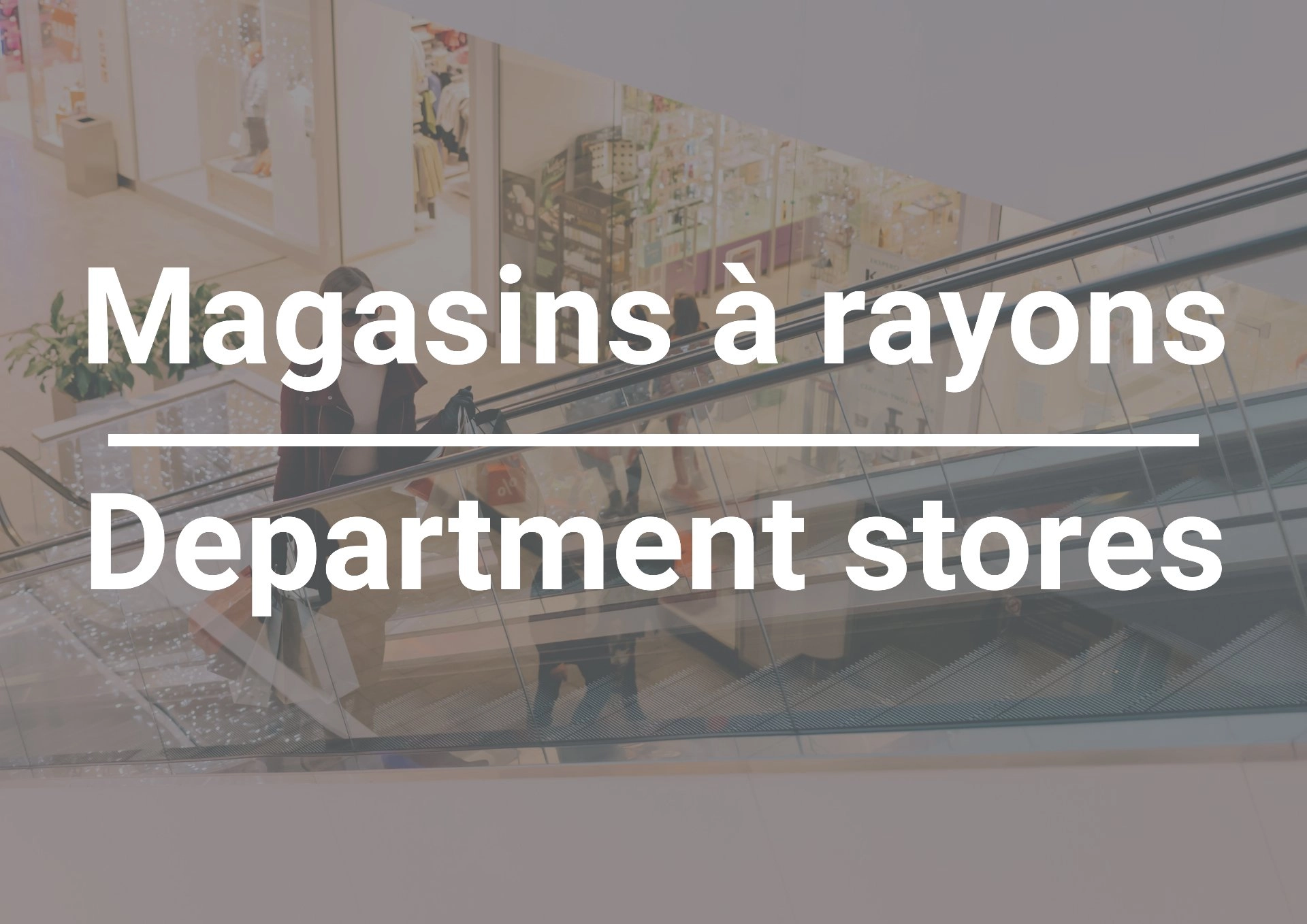 Intérieur du magasin