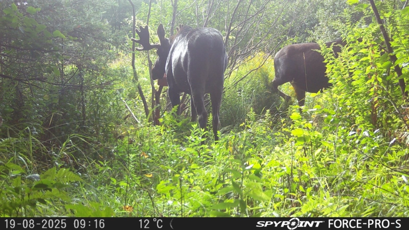 Photo de la propriété 3