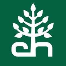 avatar logo