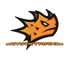 avatar logo