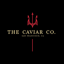 avatar logo