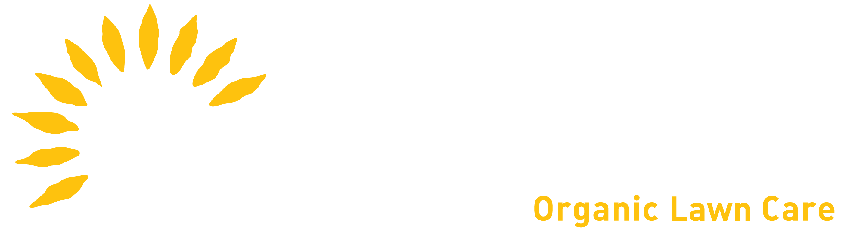 avatar logo