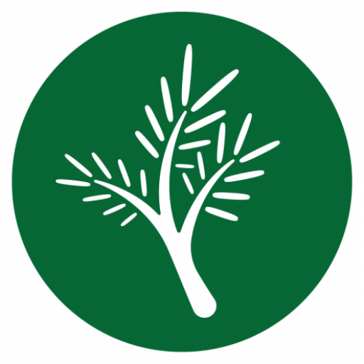 avatar logo
