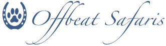 avatar logo