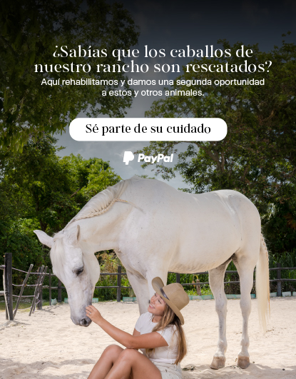 https://www.paypal.com/ncp/payment/L7B6A3G7YWJG4|Donativo