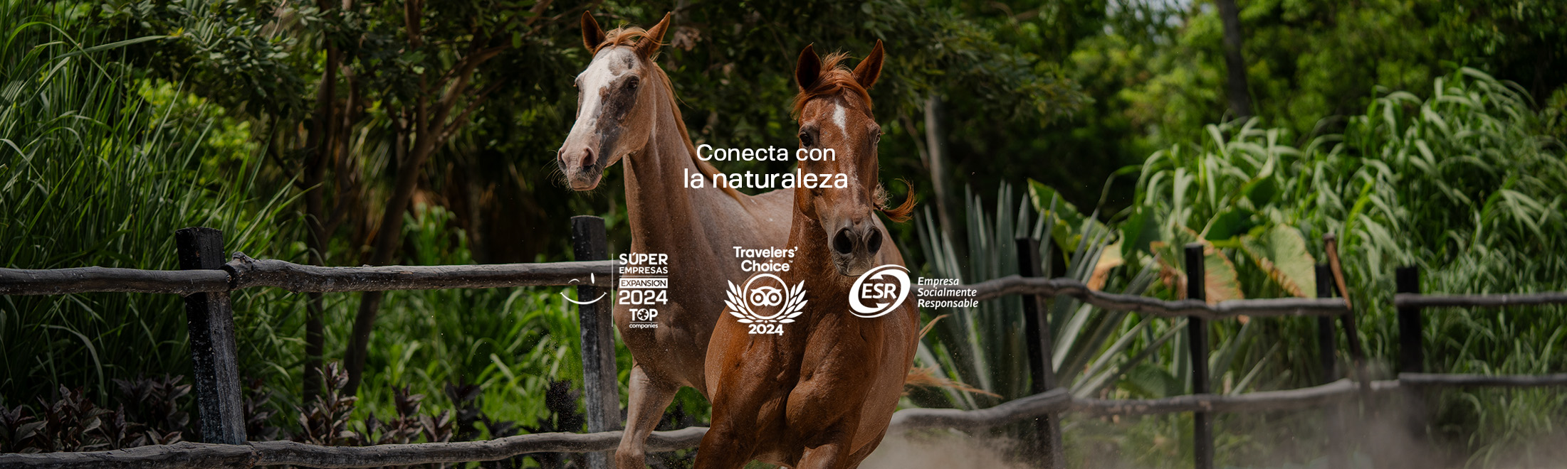 Conecta con la naturaleza