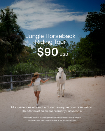 Offers Rancho Bonanza