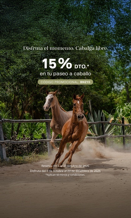 promo bonanza