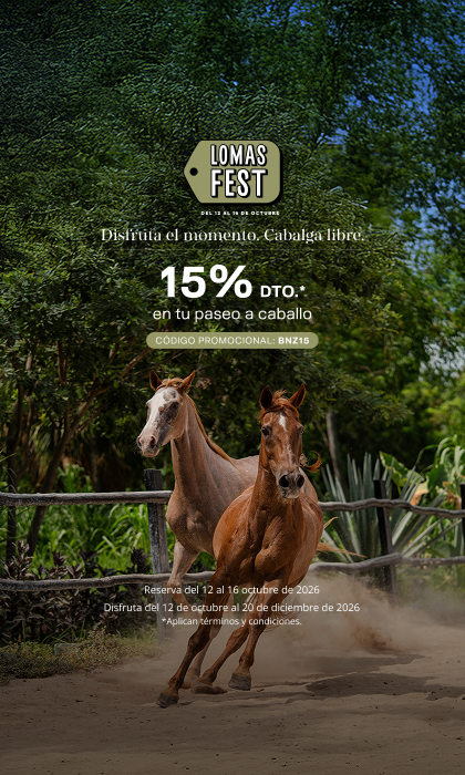 promo lomas fest