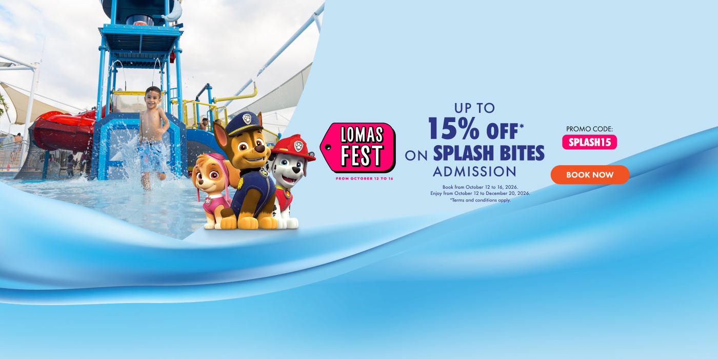 promo lomas fest
