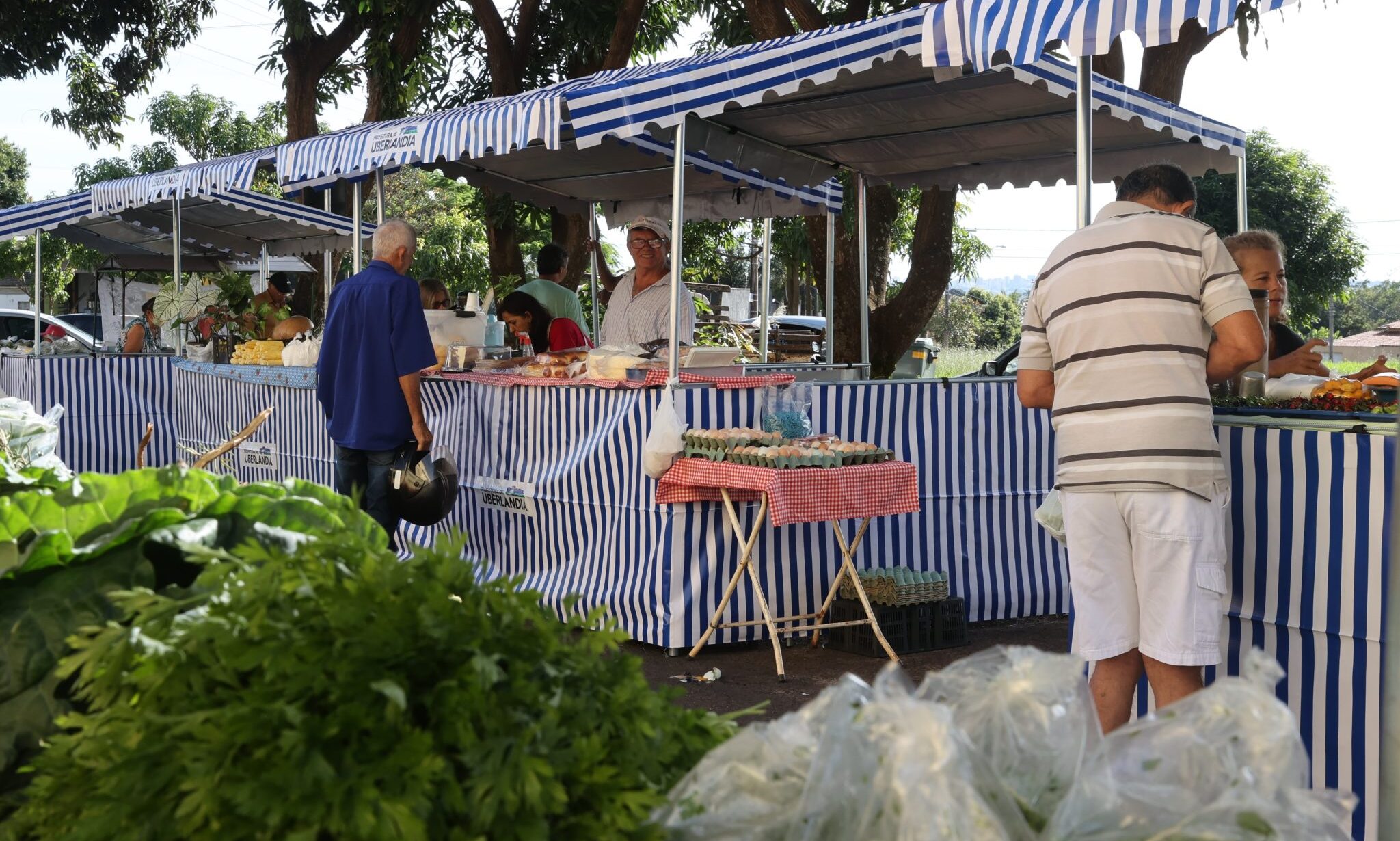 Feiras livres em Uberlândia: dias, bairros e horários